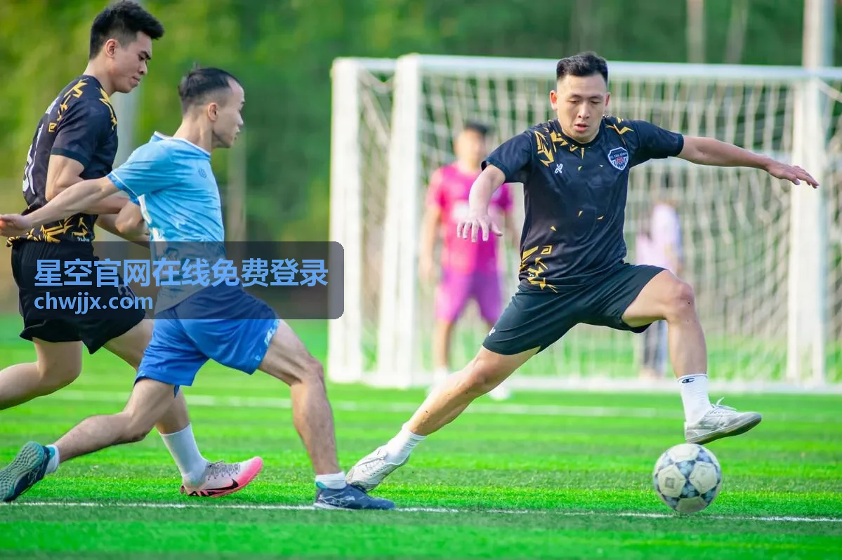 星空官网在线免费登录安全设置说明配图
