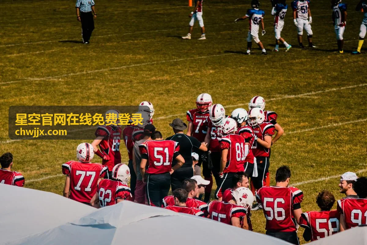 星空官网在线免费登录异常登录处理步骤封面
