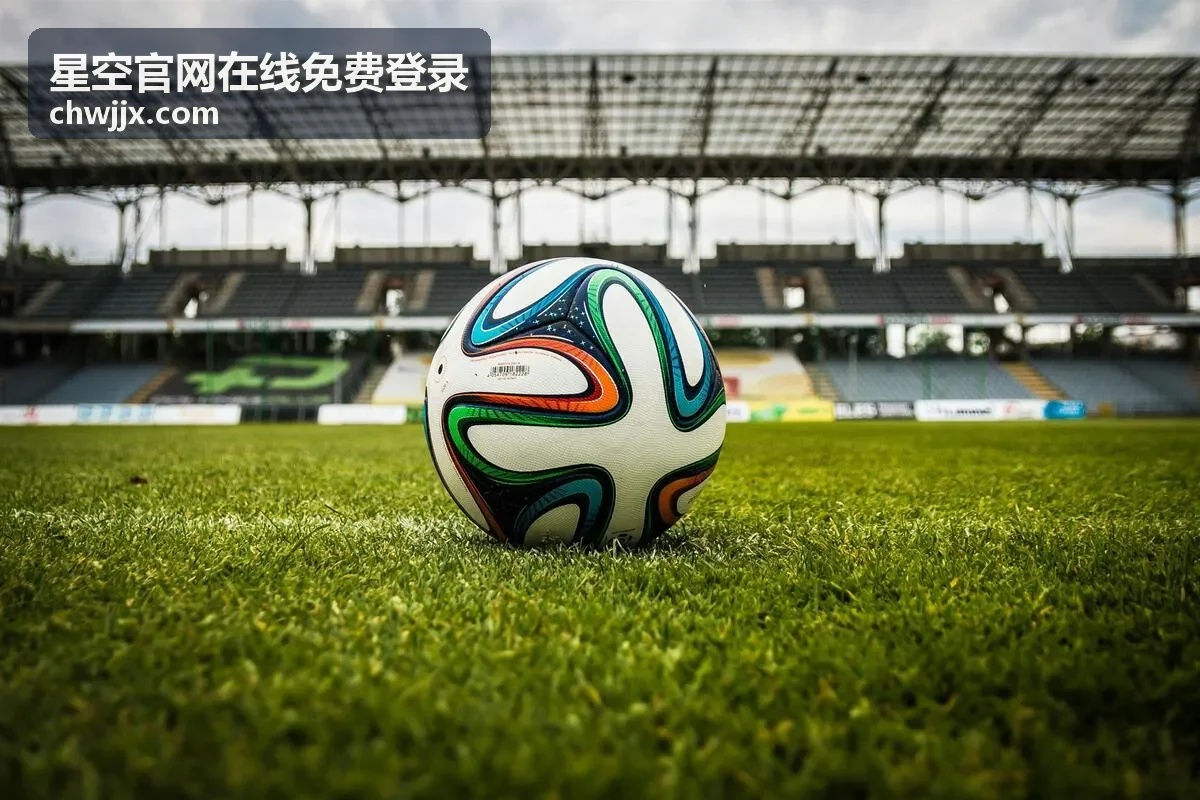 星空官网在线免费登录完成后的安全设置
