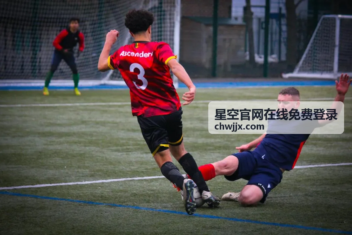 星空官网在线免费登录密码输错限制恢复配图