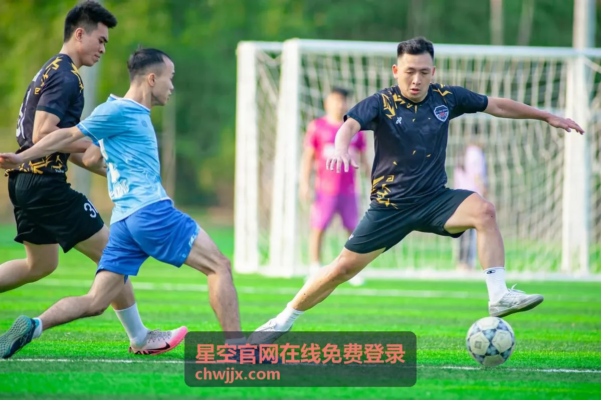 星空官网在线免费登录验证码接收异常处理封面