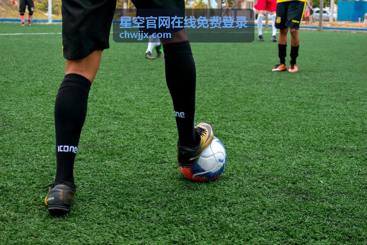 星空官网在线免费登录退出登录区别说明封面