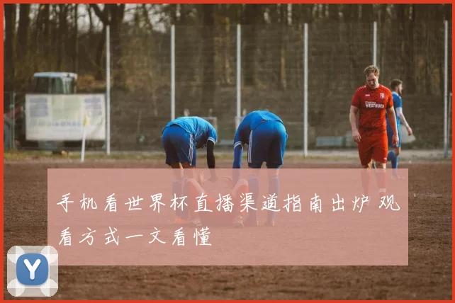 手机看世界杯直播渠道指南出炉 观看方式一文看懂