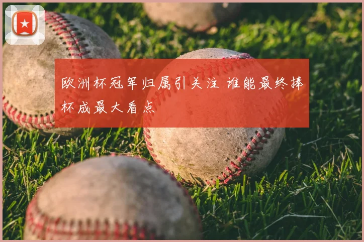 欧洲杯冠军归属引关注 谁能最终捧杯成最大看点