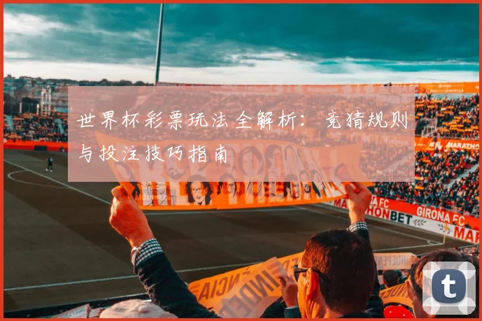 世界杯彩票玩法全解析：竞猜规则与投注技巧指南