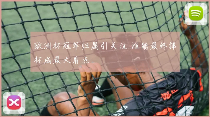 欧洲杯冠军归属引关注 谁能最终捧杯成最大看点