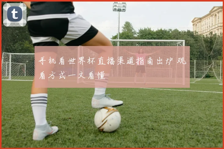 手机看世界杯直播渠道指南出炉 观看方式一文看懂