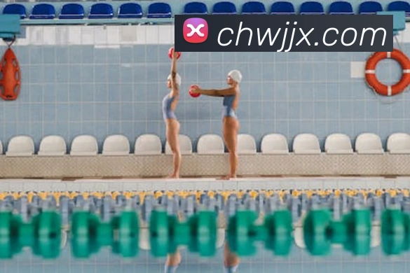 买球官方平台生态图