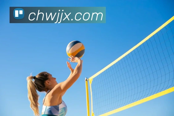 买球官方APP 封面图